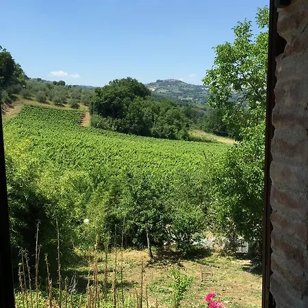 Il Donnarita