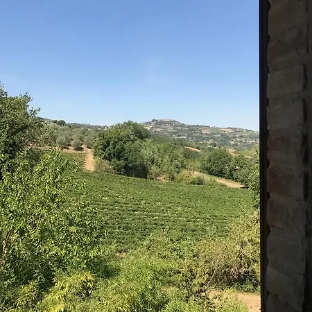Il Donnarita