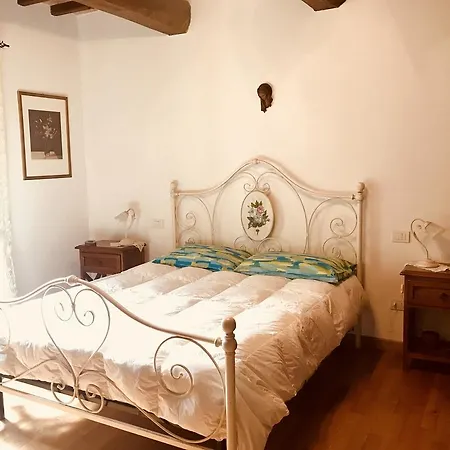 Il Donnarita טודי